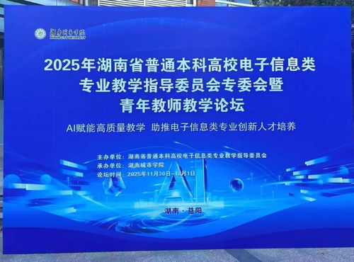 聚智同行，共促成長 小眼睛科技受邀亮相2025湖南省電子信息學(xué)術(shù)年會(huì)